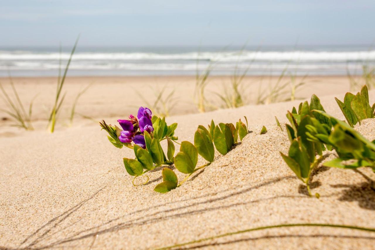 Shearwater Inn Lincoln City Ngoại thất bức ảnh